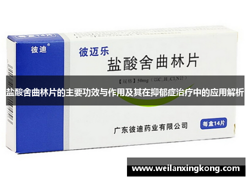 盐酸舍曲林片的主要功效与作用及其在抑郁症治疗中的应用解析