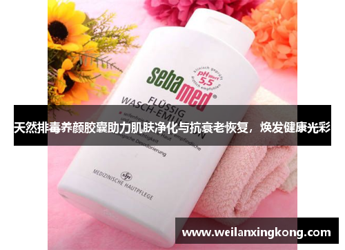 天然排毒养颜胶囊助力肌肤净化与抗衰老恢复,焕发健康光彩 天然排毒养颜胶囊助力肌肤净化与抗衰老恢复,焕发健康光彩